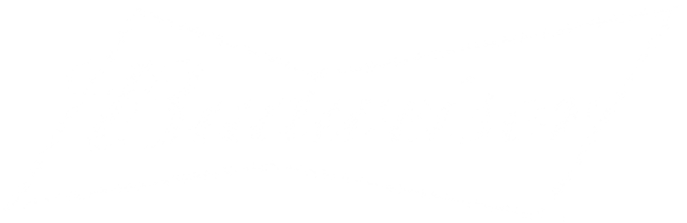17 Budweiser